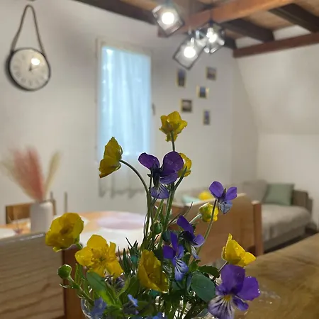 Zeleni Chill Holiday home *