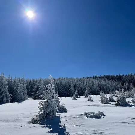 Zeleni Chill Kopaonik