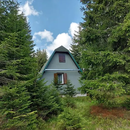 Holiday home Zeleni Chill *