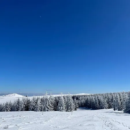 Zeleni Chill Holiday home Kopaonik