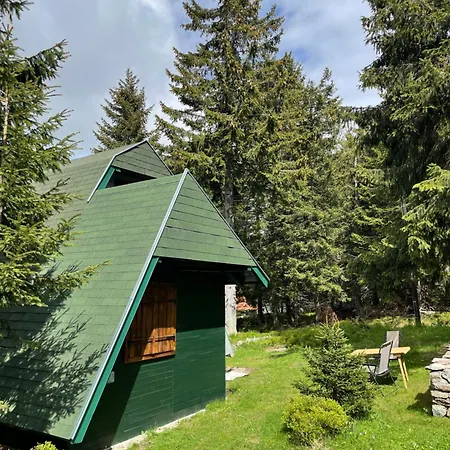 Zeleni Chill * Kopaonik