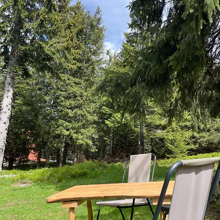 Zeleni Chill